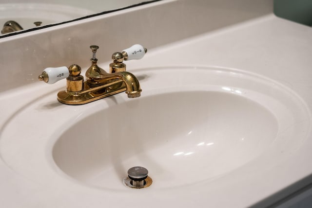 interior details with a sink