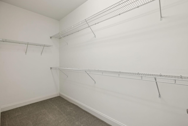 walk in closet with dark colored carpet