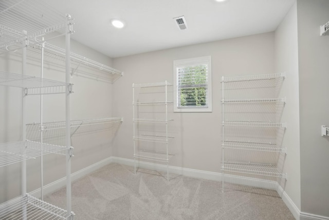 1200 Eagles Bluff Dr, Clarksville, TN 37040 - spacious closet with carpet flooring