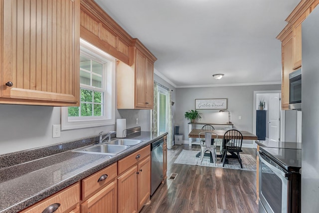 142 Sun Rise Rdg, Pulaski, TN 38478 - kitchen with visible vents, ornamental molding, dark wood-type flooring, a sink, and appliances with stainless steel finishes