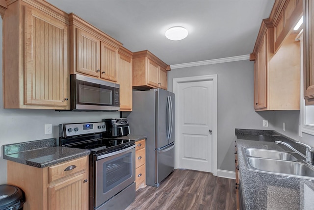 142 Sun Rise Rdg, Pulaski, TN 38478 - kitchen with crown molding, a sink, dark wood finished floors, stainless steel appliances, and baseboards