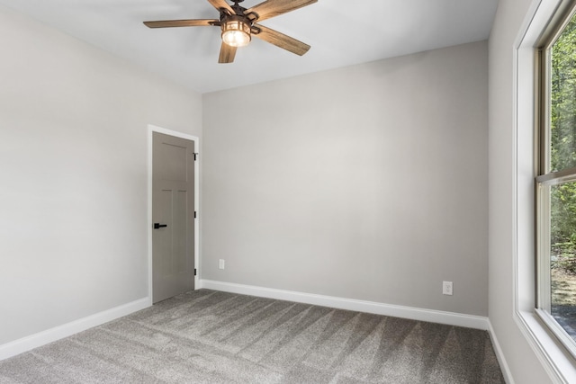 2370 Ramblewood Dr, Clarksville, TN 37040 - photo 19