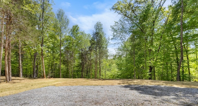 2370 Ramblewood Dr, Clarksville, TN 37040 - photo 29