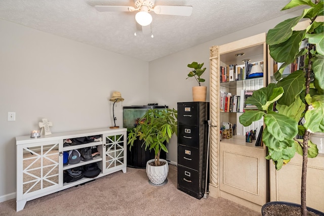 miscellaneous room featuring a textured ceiling, carpet flooring, baseboards, and a ceiling fan