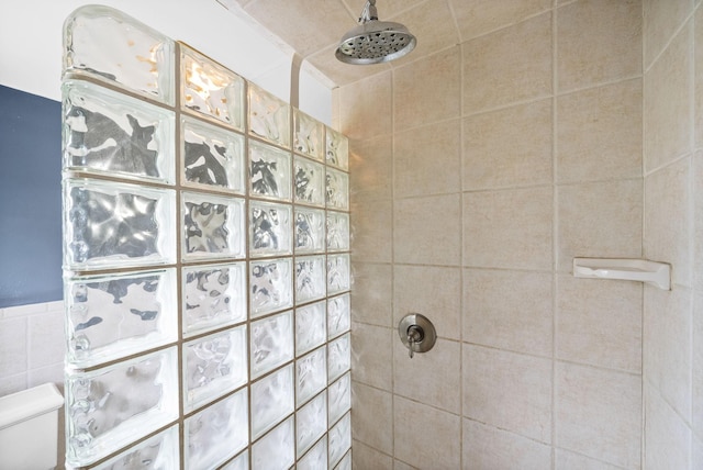 13391 Fruit Hill Red Bridge Rd, Crofton, KY 42217 - bathroom with toilet and tiled shower