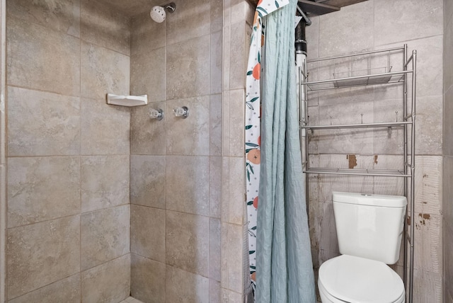 13391 Fruit Hill Red Bridge Rd, Crofton, KY 42217 - bathroom with toilet and a tile shower