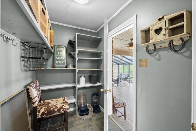 13391 Fruit Hill Red Bridge Rd, Crofton, KY 42217 - view of spacious closet