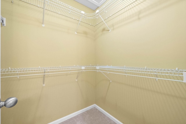 spacious closet with carpet