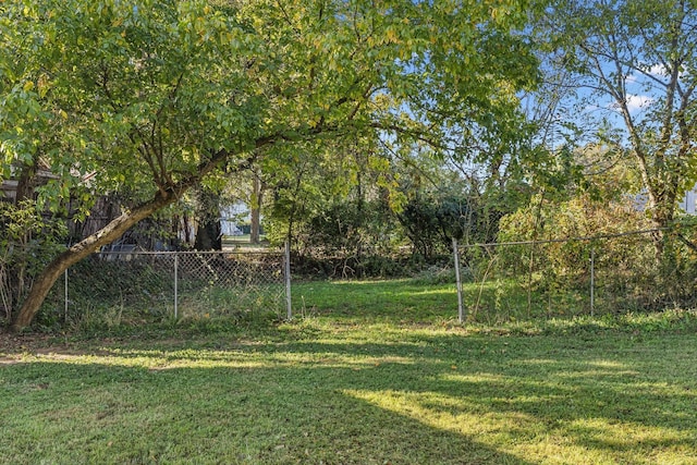 111 3rd Ave, Mount Pleasant, TN 38474 - view of yard with fence