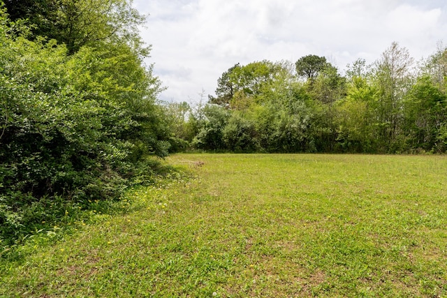 60 Sam Johnson Ln, Scotts Hill, TN 38374 - view of nature