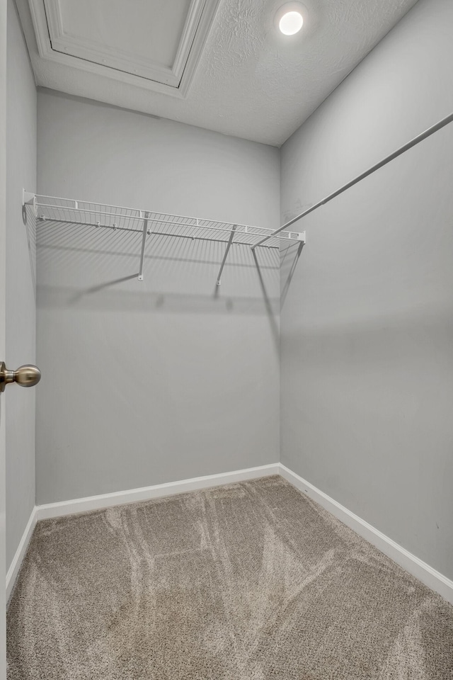 walk in closet with carpet