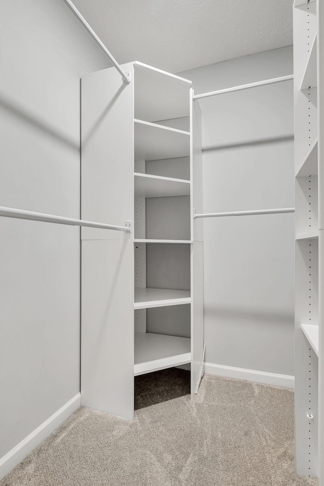 spacious closet featuring carpet floors