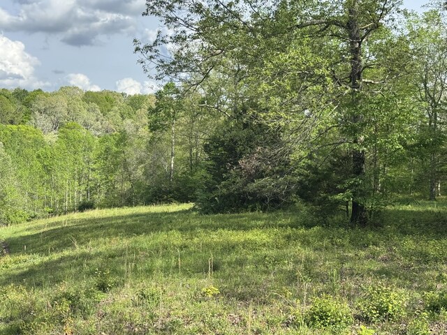 0 Woodmont Dr, Centerville, TN 37033 - photo 5