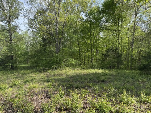 0 Woodmont Dr, Centerville, TN 37033 - photo 6
