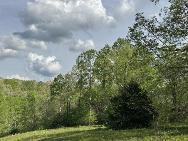 0 Woodmont Dr, Centerville, TN 37033 - photo 14