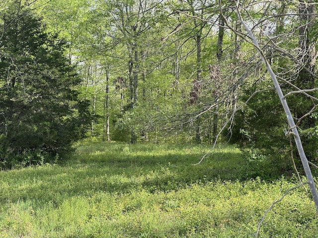0 Woodmont Dr, Centerville, TN 37033 - photo 2