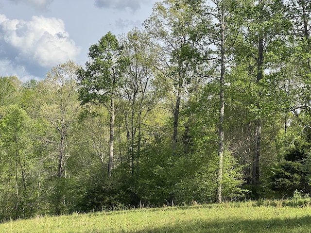 0 Woodmont Dr, Centerville, TN 37033 - photo 10
