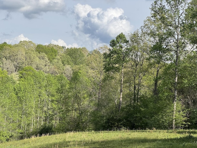 0 Woodmont Dr, Centerville, TN 37033 - photo 12