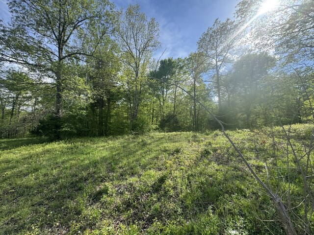 0 Woodmont Dr, Centerville, TN 37033 - photo 3