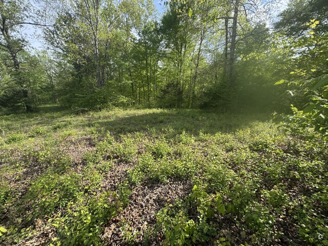 0 Woodmont Dr, Centerville, TN 37033 - photo 7