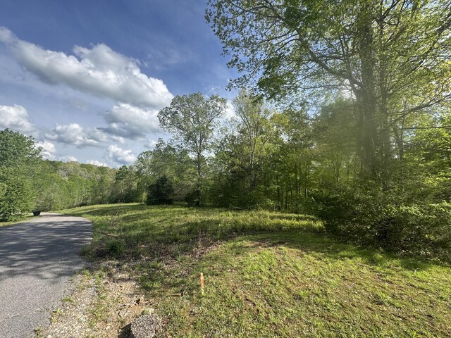 0 Woodmont Dr, Centerville, TN 37033 - photo 16