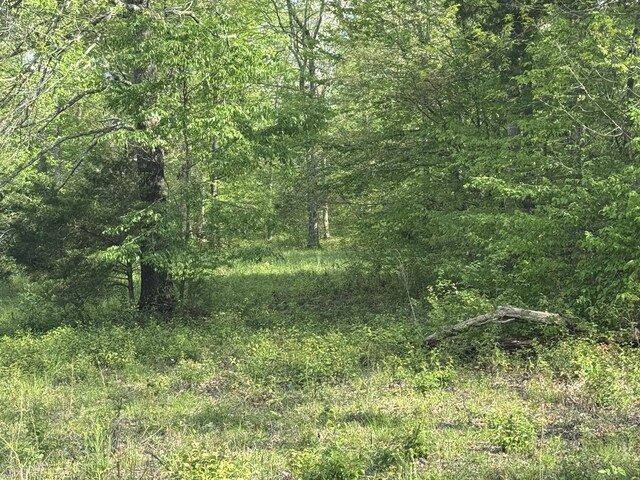 0 Woodmont Dr, Centerville, TN 37033 - photo 4