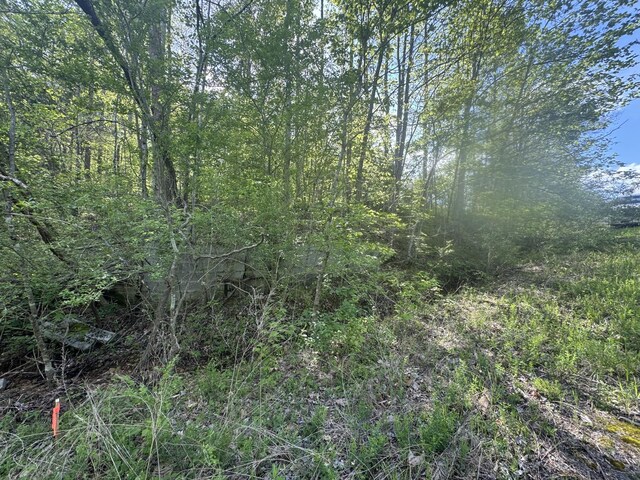 0 Woodmont Dr, Centerville, TN 37033 - photo 21