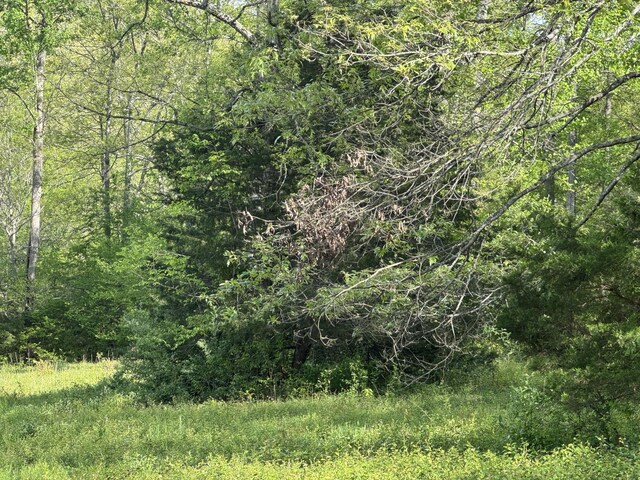 0 Woodmont Dr, Centerville, TN 37033 - photo 8