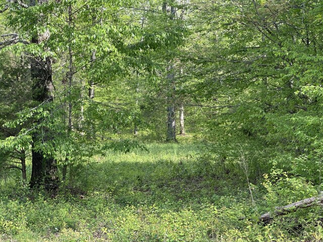 0 Woodmont Dr, Centerville, TN 37033 - photo 9