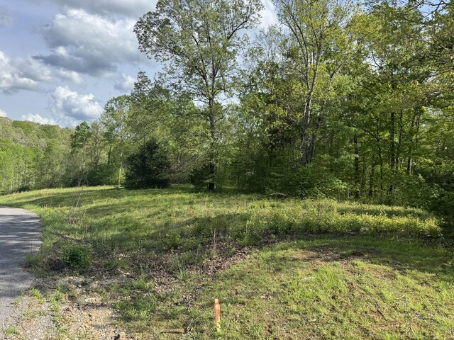 0 Woodmont Dr, Centerville, TN 37033 - photo 15