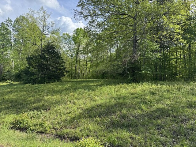 0 Woodmont Dr, Centerville, TN 37033 - photo 11