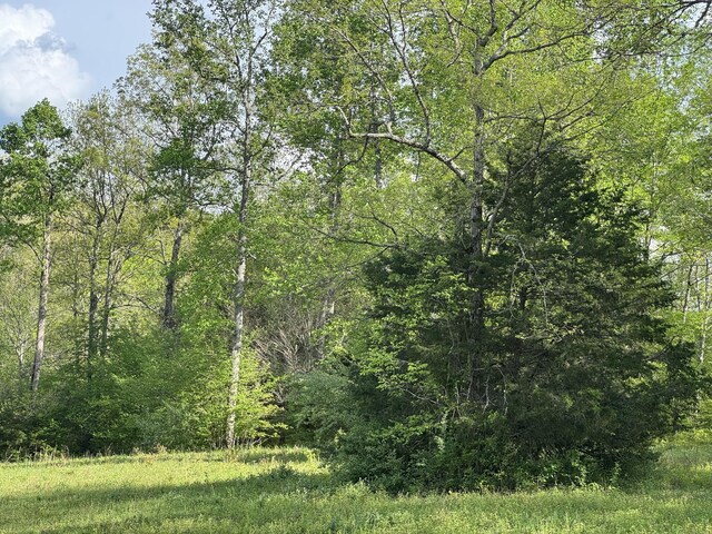 0 Woodmont Dr, Centerville, TN 37033 - photo 13