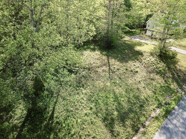 0 Woodmont Dr, Centerville, TN 37033 - photo 27