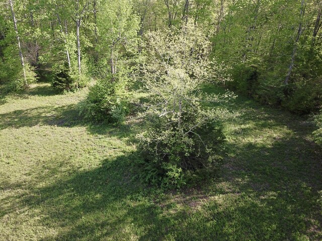 0 Woodmont Dr, Centerville, TN 37033 - photo 28