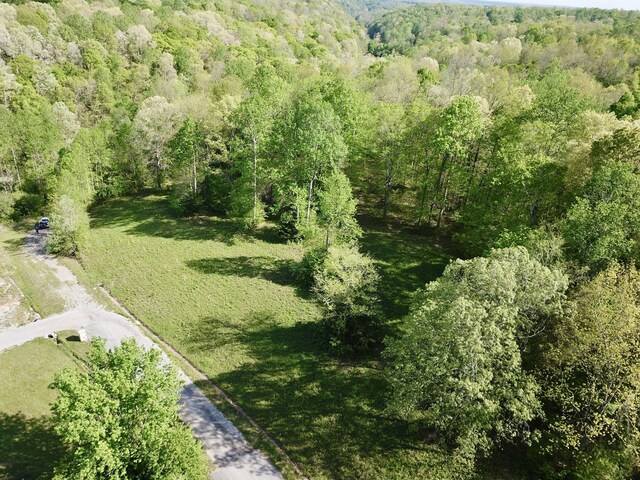 0 Woodmont Dr, Centerville, TN 37033 - photo 25