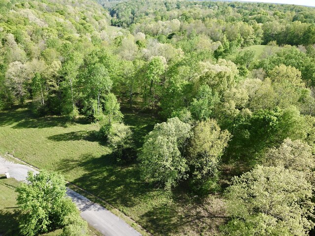 0 Woodmont Dr, Centerville, TN 37033 - photo 39