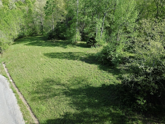 0 Woodmont Dr, Centerville, TN 37033 - photo 38