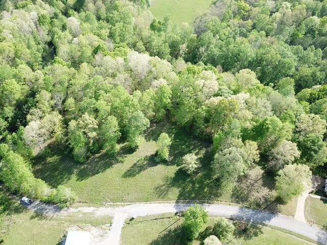 0 Woodmont Dr, Centerville, TN 37033 - photo 34
