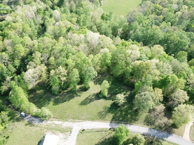 0 Woodmont Dr, Centerville, TN 37033 - photo 29