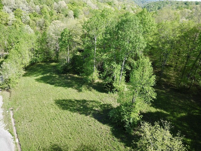 0 Woodmont Dr, Centerville, TN 37033 - photo 33