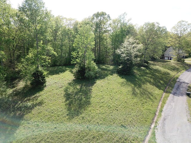 0 Woodmont Dr, Centerville, TN 37033 - photo 36
