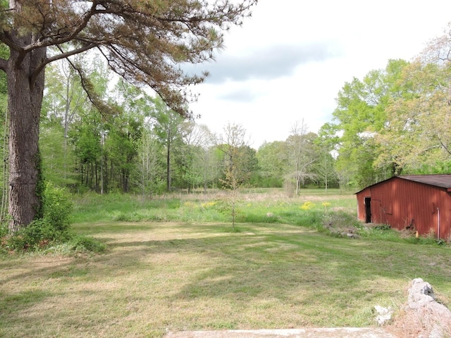 view of yard featuring a forest view and an outbuilding