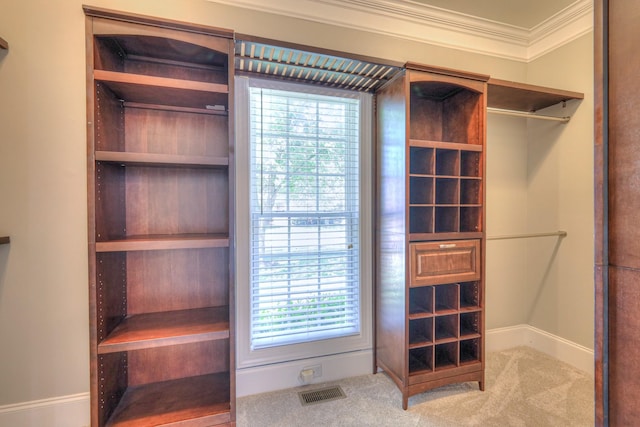 1178 Mccoury Ln, Spring Hill, TN 37174 - spacious closet featuring carpet floors and visible vents