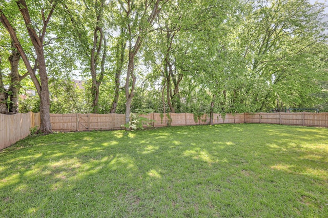 1178 Mccoury Ln, Spring Hill, TN 37174 - view of yard featuring a fenced backyard