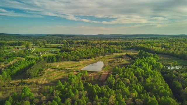 bird's eye view featuring a water view and a view of trees