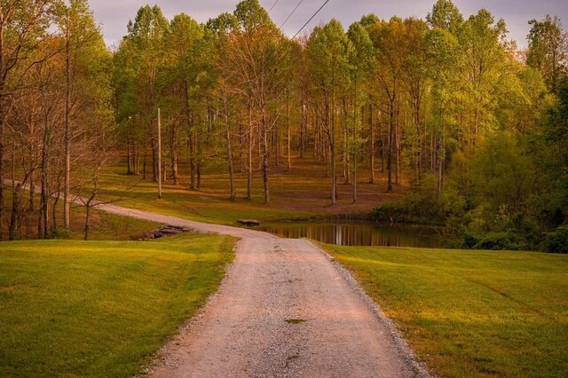 view of road featuring a view of trees and a water view