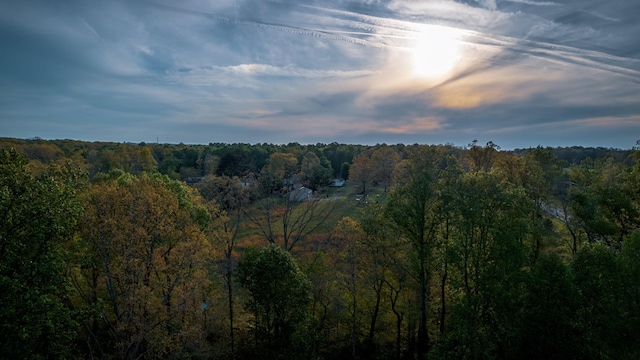 view of nature featuring a wooded view