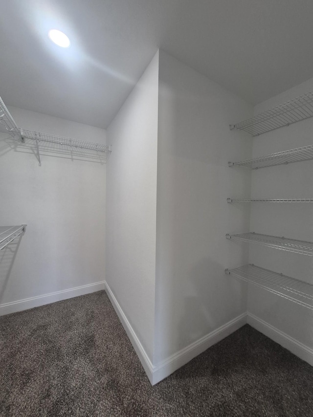 6 Hugh Hunter Rd, Oak Grove, KY 42262 - walk in closet with carpet flooring