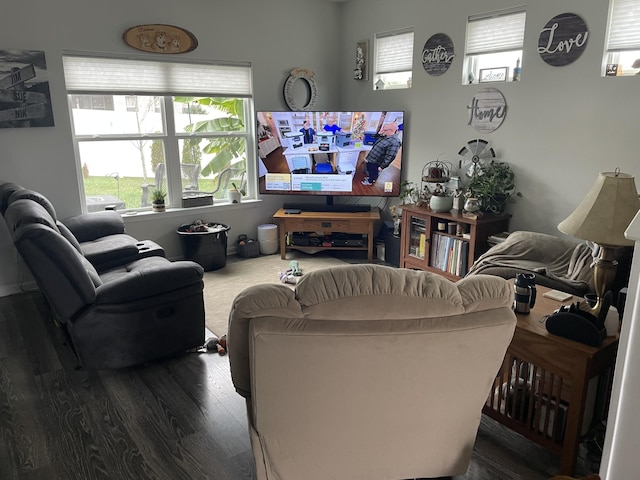 living room with wood finished floors