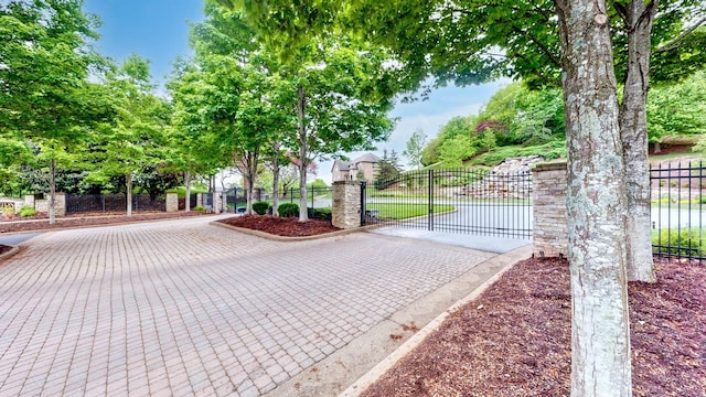 146 Allenhurst Cir, Franklin, TN 37067 - view of gate with fence